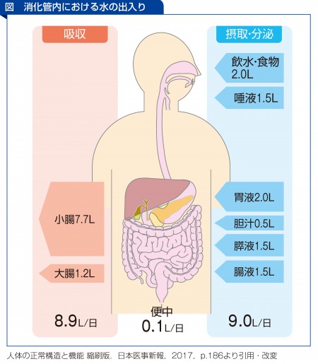 第3回 侵襲時の患者さんの腸管はどうなっているの ナース専科