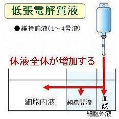 小動物臨床における輸液療法 体液・電解質・酸-塩基の障害 Amazon.co.jp: 小動物臨床における輸液療法: 体液・電解質・酸-塩基の